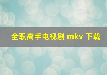 全职高手电视剧 mkv 下载